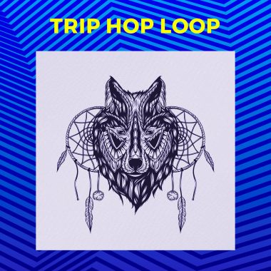 Trip Hop Loop